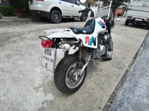 รถstarlion Baja รถstarlion Baja