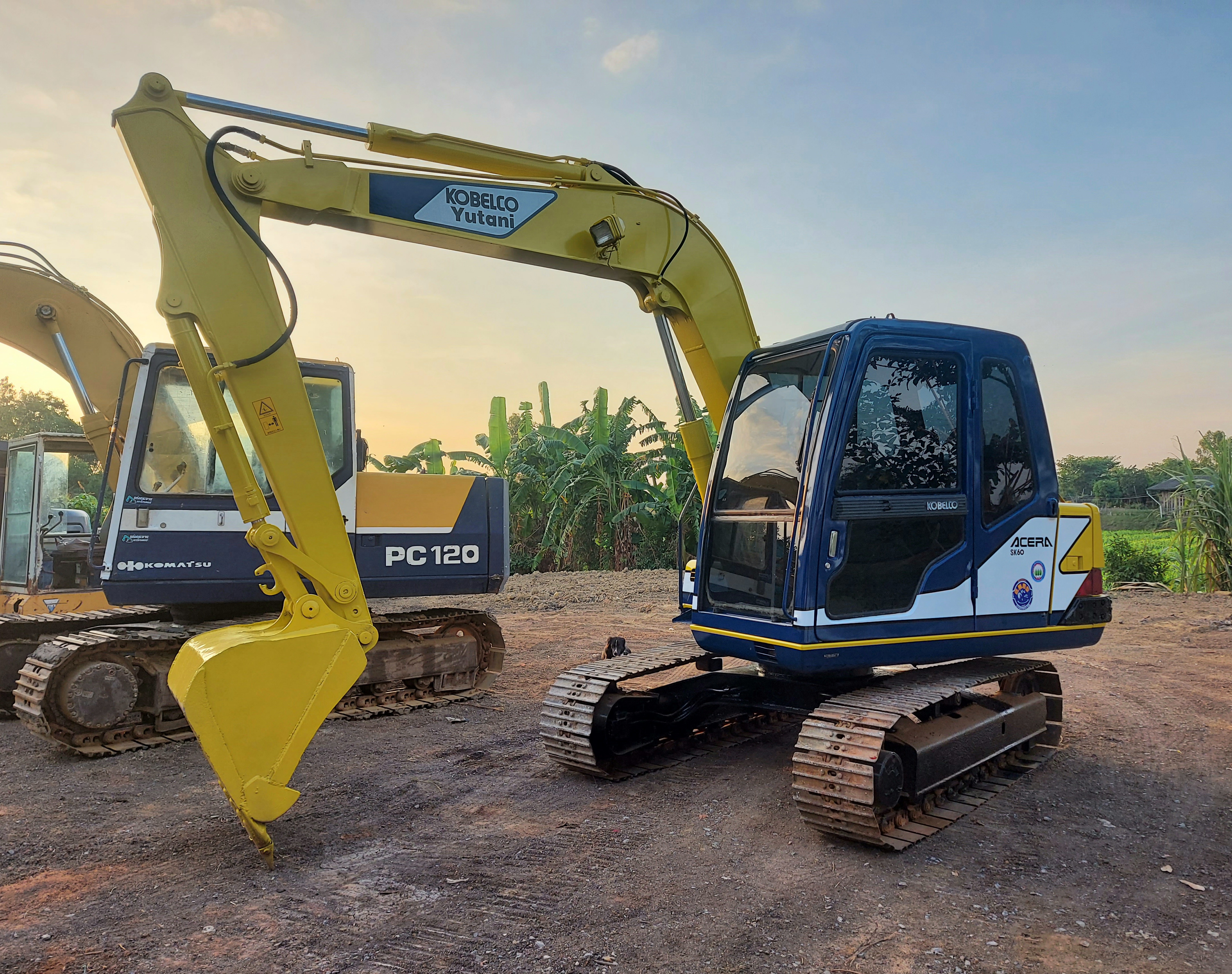 SK60มาร์คทรี