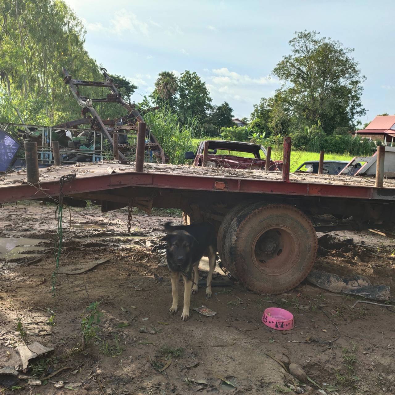 รถเบคโฮ แพ็กคู่