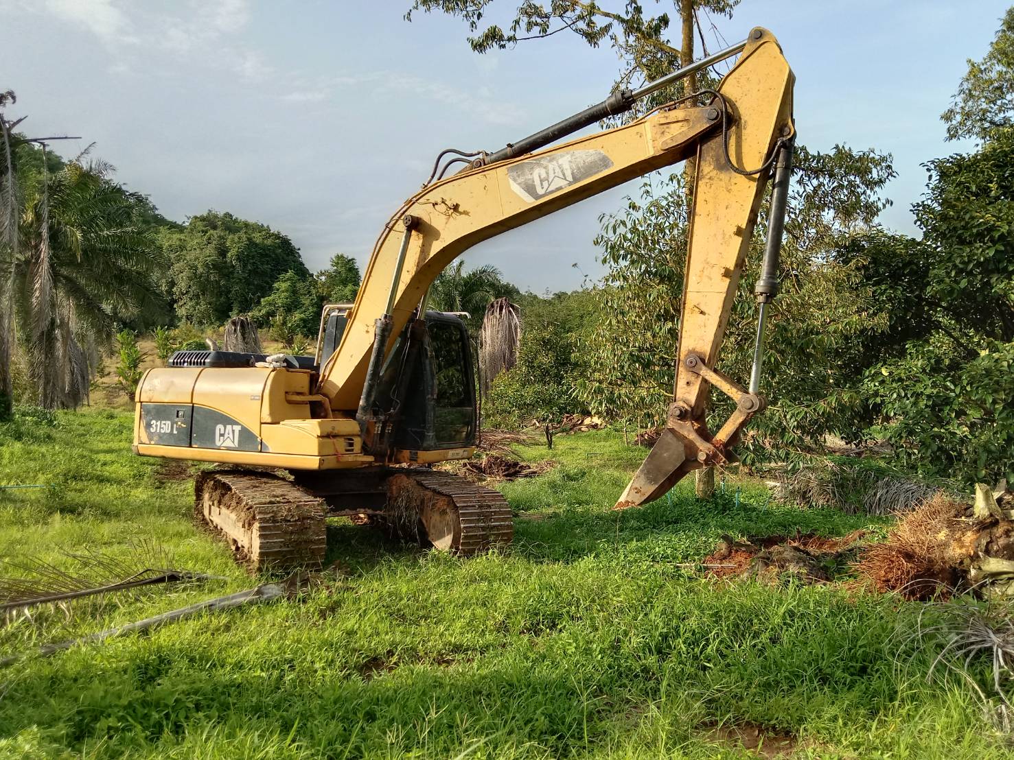 04/08/64.ขายCAT315D