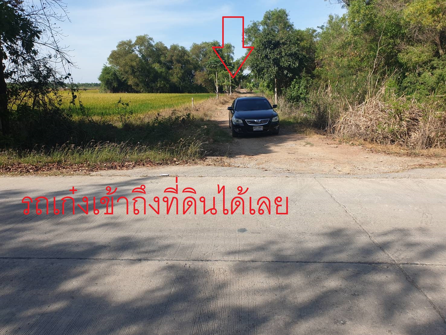 ขายที่พุทธมณฑล มีโฉนด200ตรว.ใกล้สถาบันกันตนา ม.มหิดล ขาย7แสนบาท ราคาประเมิน 600,000บาท ติดต่อปรีชา 081-581-8666 ไลน์ไอดี chamaha