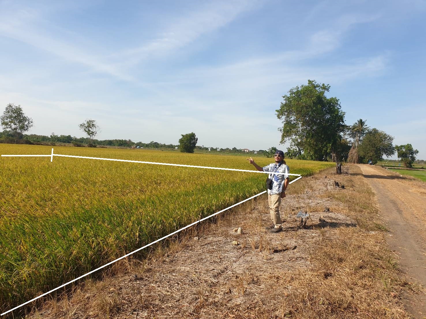 ขายที่พุทธมณฑล มีโฉนด200ตรว.ใกล้สถาบันกันตนา ม.มหิดล ขาย7แสนบาท ราคาประเมิน 600,000บาท ติดต่อปรีชา 081-581-8666 ไลน์ไอดี chamaha