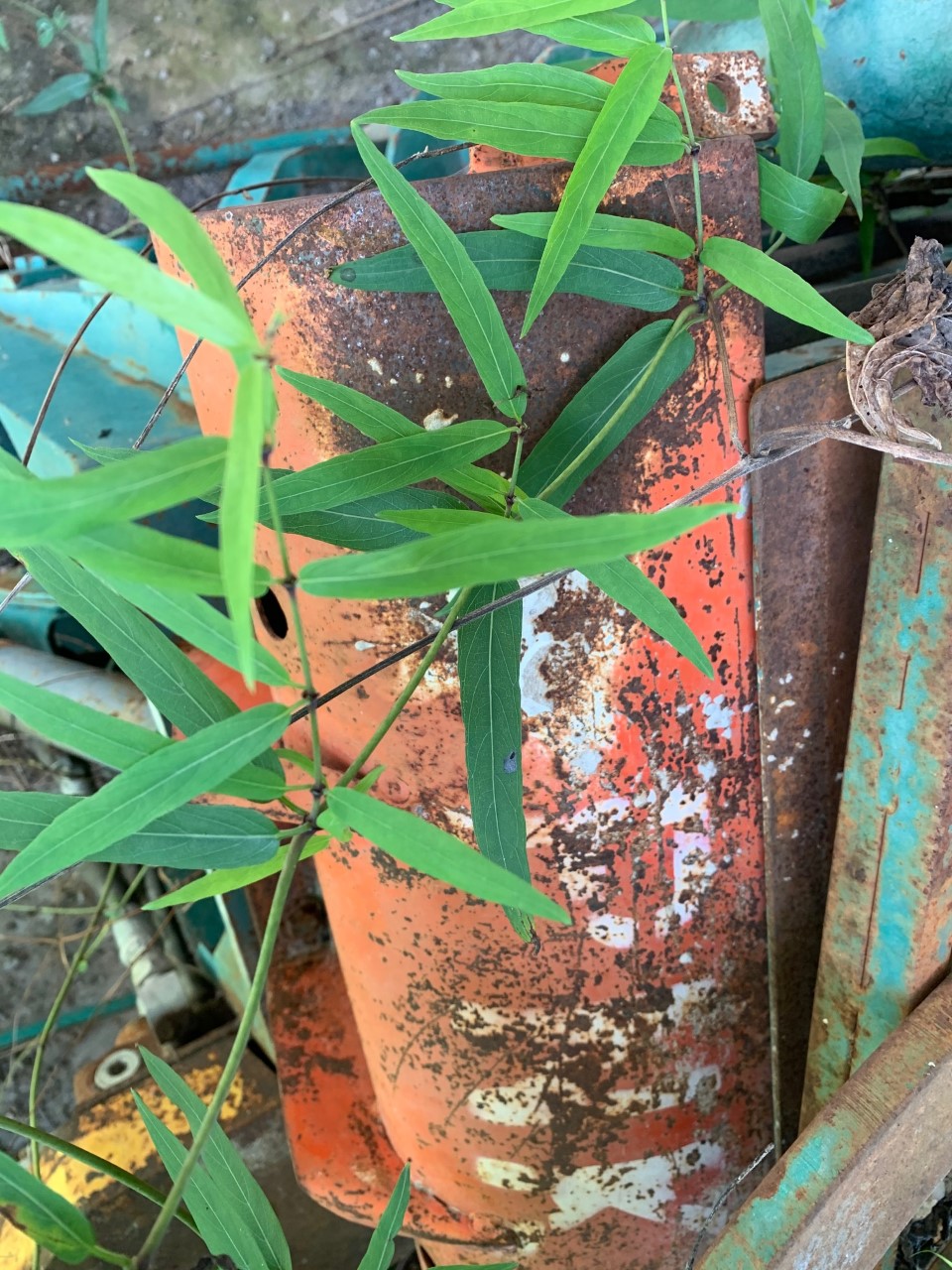 ขายเครื่องอัดบล็อก