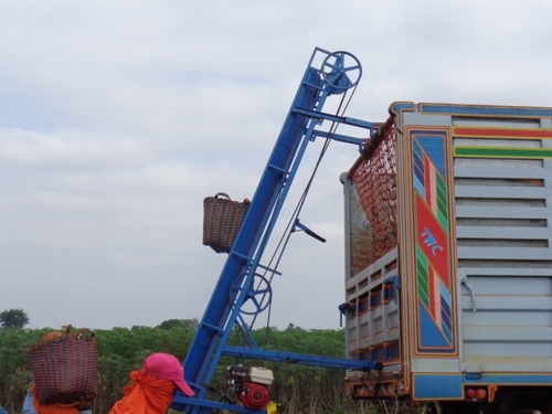 เครื่องยกเข่ง 12,000.00