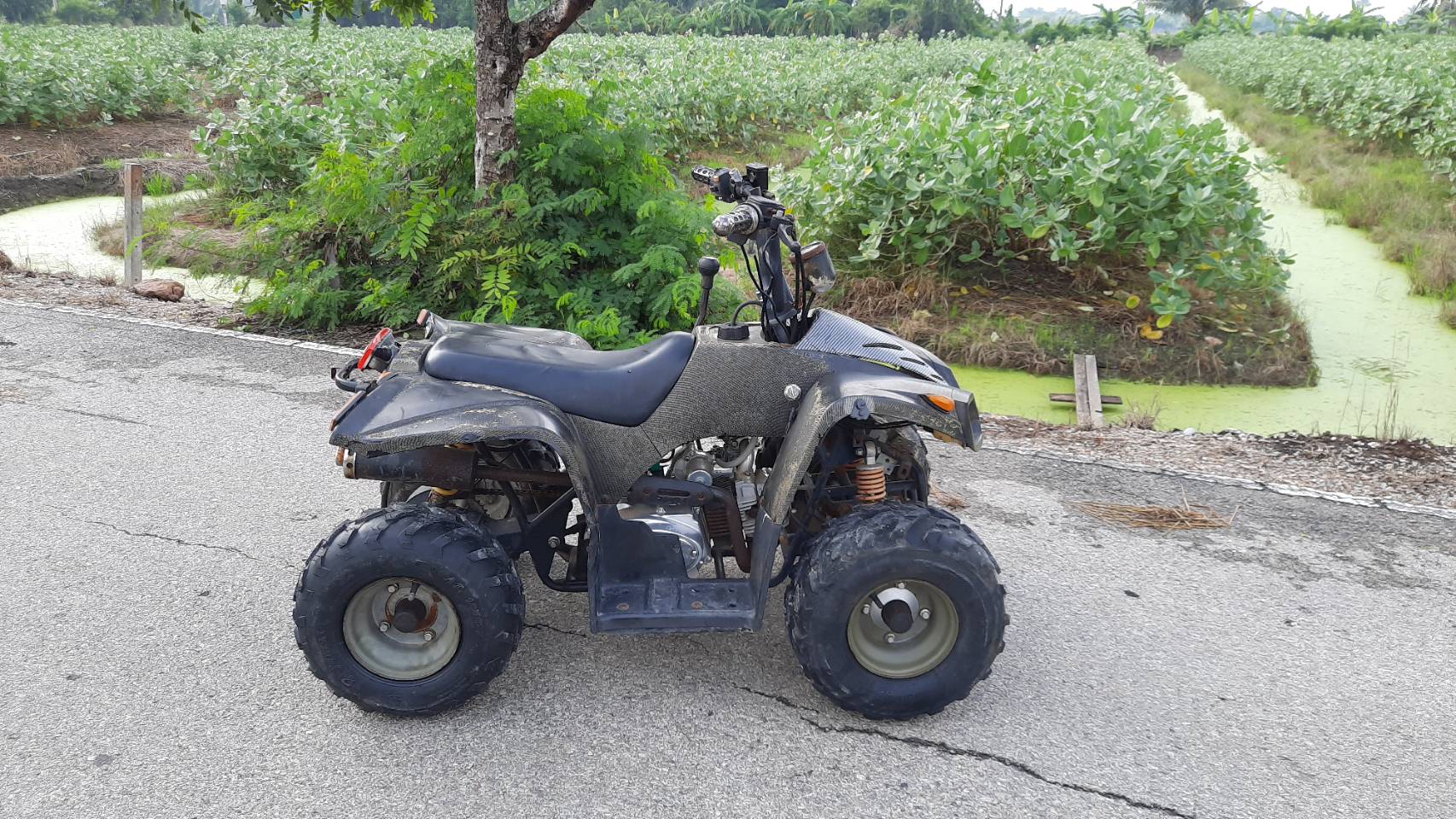 รถ ATV 100cc