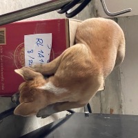 seller
