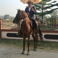 seller
