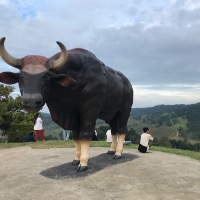 seller