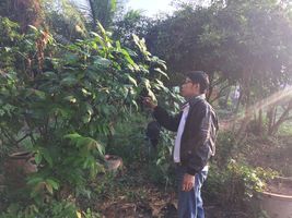 seller