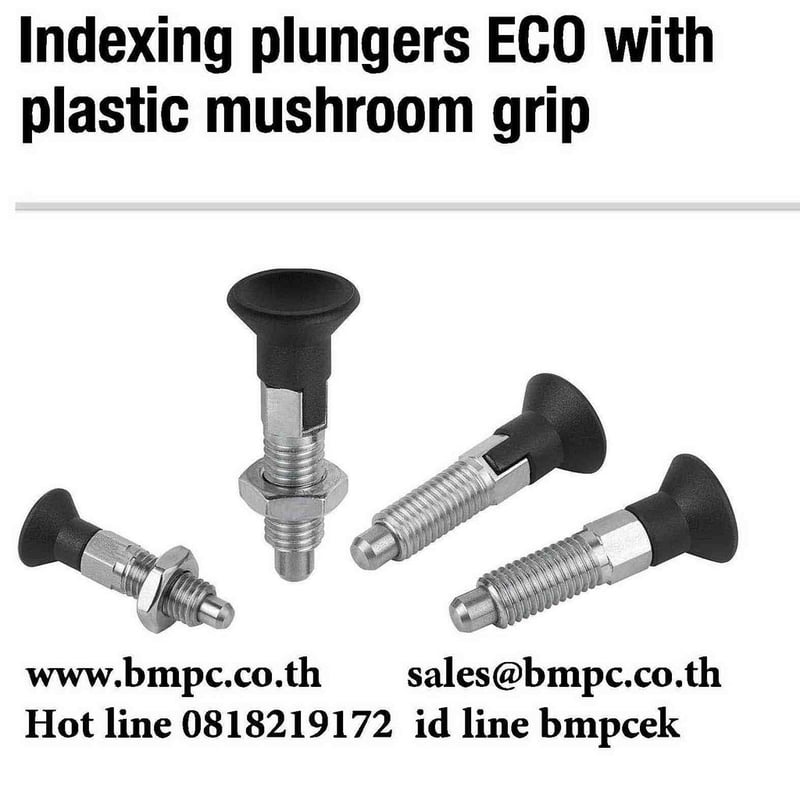 Locking bolt standard pitch, Index plunger, Plunger with pin, สลักล๊อกตำแหน่ง, ซ่อมเกลียว,  slotted round nut