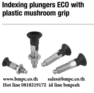 Locking bolt standard pitch, Index plunger, Plunger with pin, สลักล๊อกตำแหน่ง, ซ่อมเกลียว,  slotted round nut