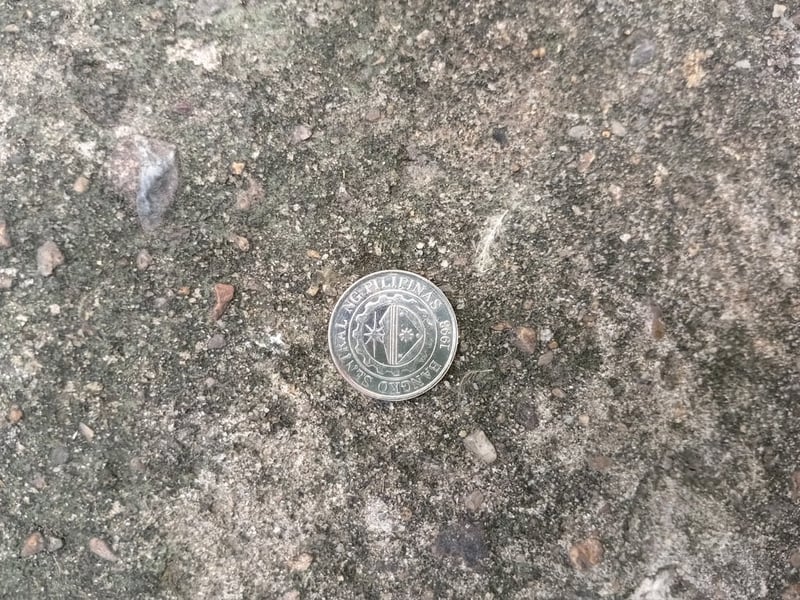 เหรียญฟิลิบปินส์