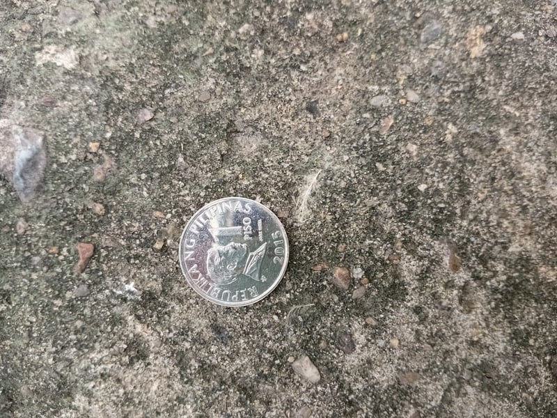 เหรียญฟิลิบปินส์