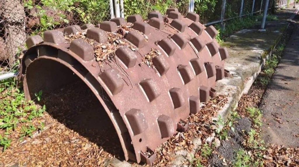 🔥ขายด่วน 75,000 เปลือกหนาม 2 ชิ้น สวยจัด ถอดออกจาก IngerSolland เส้นผ่าศูนย์กลาง 1.75+ 