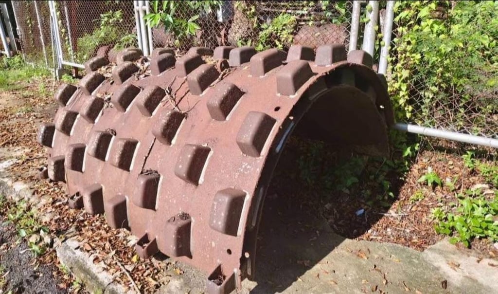 🔥ขายด่วน 75,000 เปลือกหนาม 2 ชิ้น สวยจัด ถอดออกจาก IngerSolland เส้นผ่าศูนย์กลาง 1.75+ 