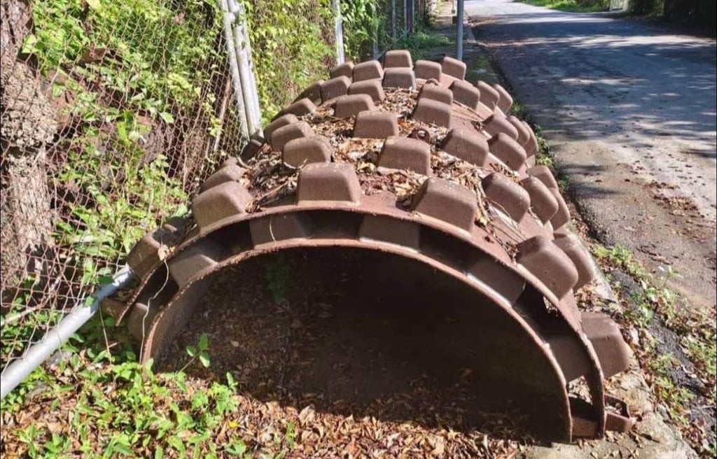 🔥ขายด่วน 75,000 เปลือกหนาม 2 ชิ้น สวยจัด ถอดออกจาก IngerSolland เส้นผ่าศูนย์กลาง 1.75+ 