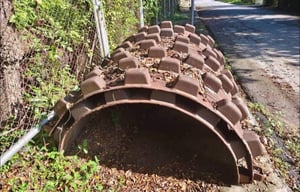 🔥ขายด่วน 75,000 เปลือกหนาม 2 ชิ้น สวยจัด ถอดออกจาก IngerSolland เส้นผ่าศูนย์กลาง 1.75+ 