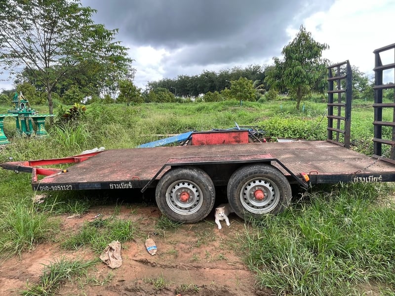 ขายสาลี่ลาก