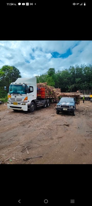 ขายฮีโน่เมก้า