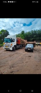 ขายฮีโน่เมก้า