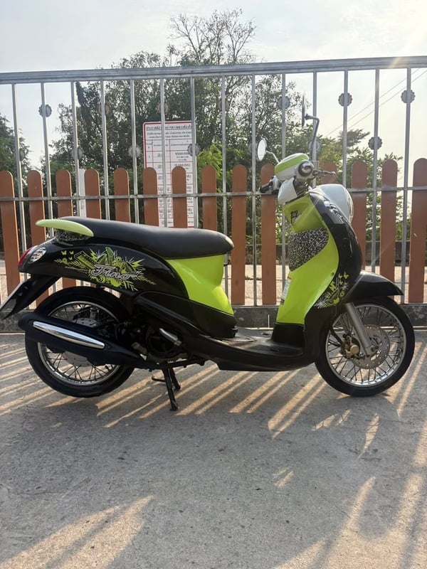 ขายฟีโน่ ปี 2010 ท่ออาม