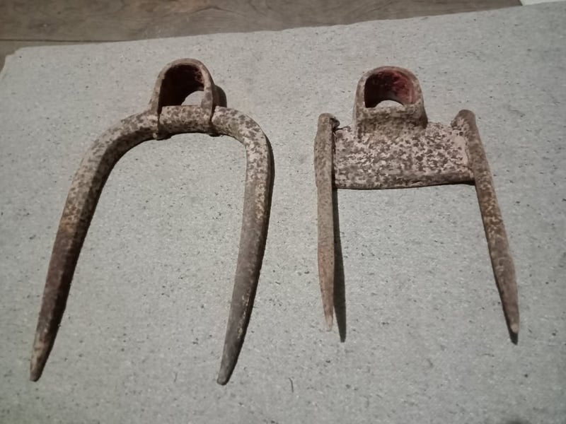 คราด 2 ง่าม