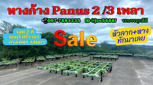 📍ถูกมากก หางก้าง 2 เพลา พนัส ปี 50 51 53 มีหลายหาง