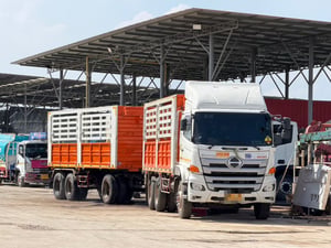 ชุดแม่+ลูกสุดคุ้ม! HINO VICTOR FM1A 344 แรง พร้อมลุยงานทำเงิน! 