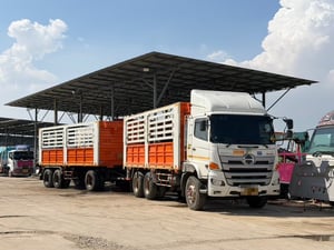 ชุดแม่+ลูกสุดคุ้ม! HINO VICTOR FM1A 344 แรง พร้อมลุยงานทำเงิน! 