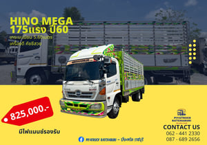 Hino mega 175 ปี60