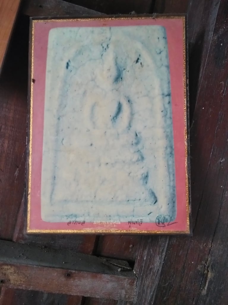 หอย2ตัว650พร้อมส่งคับ