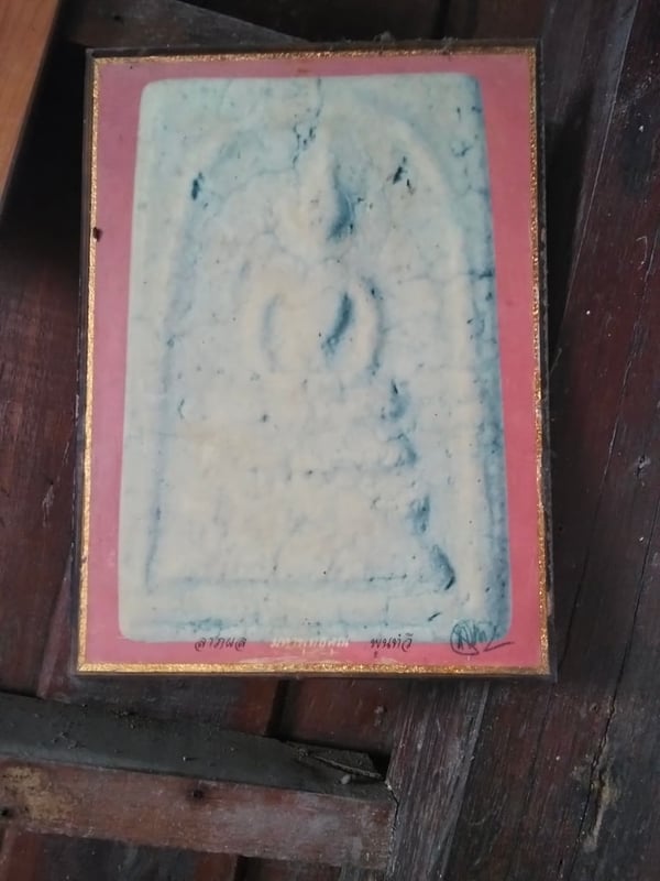 หอย2ตัว650พร้อมส่งคับ หอย2ตัว650พร้อมส่งคับ