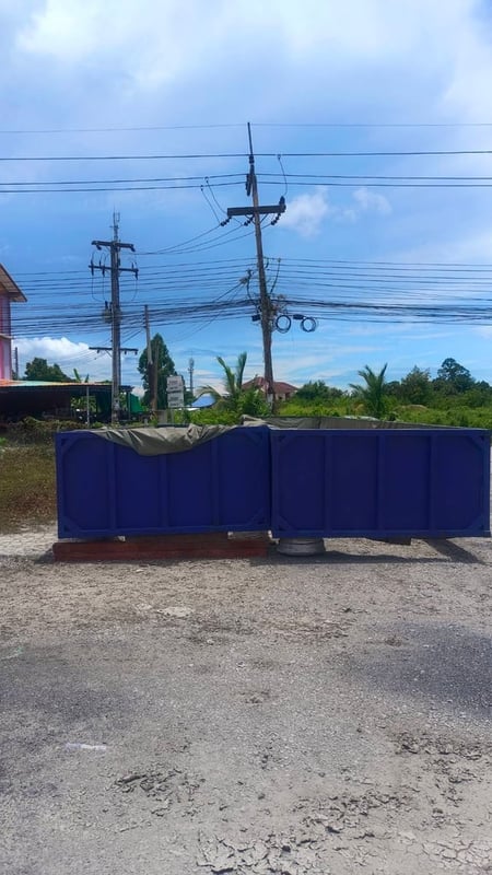 ขายคอกะบะวิ่งน้ำตาล