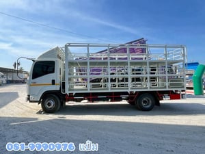 📌Vายตัด หกล้อคอก ISUZU  FRR 190 แรง  ปี 2564  ยาว 5.6 สูง 2.0 กว้าง 2.45 Sาคา 950,000.-(4513) ยางใหม่ 4 เส้น