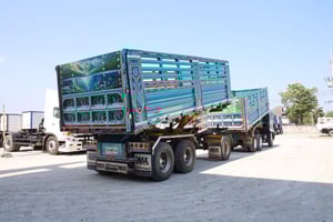 สิบล้อดั้มพ์  HINO FM1A  344 แรงม้า ปี 2567  (5491)(5492)