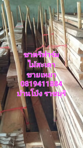 ไม้สะเดา ไม้สะเดาเทียม ไม้สะเดาแปรรูป ขายเหมา ไม่มีบริการส่ง ไม้สะเดา ไม้สะเดาเทียม ไม้สะเดาแปรรูป ขายเหมา ไม่มีบริการส่ง