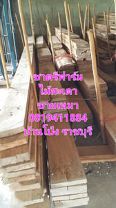 ไม้สะเดา ไม้สะเดาเทียม ไม้สะเดาแปรรูป ขายเหมา ไม่มีบริการส่ง ไม้สะเดา ไม้สะเดาเทียม ไม้สะเดาแปรรูป ขายเหมา ไม่มีบริการส่ง