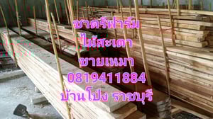 ไม้สะเดา ไม้สะเดาเทียม ไม้สะเดาแปรรูป ขายเหมา ไม่มีบริการส่ง ไม้สะเดา ไม้สะเดาเทียม ไม้สะเดาแปรรูป ขายเหมา ไม่มีบริการส่ง