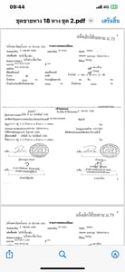 ขายหางพื้นเรียบ rck มี 2 หาง