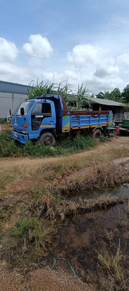 ขายรถ 6 ล้อดั้ม isuzu 165แรง ขายรถ 6 ล้อดั้ม isuzu 165แรง