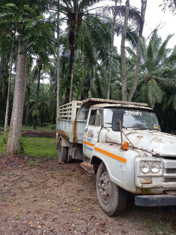 ขายรถ 6 ล้อหัวยาว isuzu 1 6 0