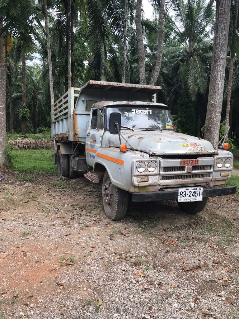 ขายรถ 6 ล้อหัวยาว isuzu 1 6 0
