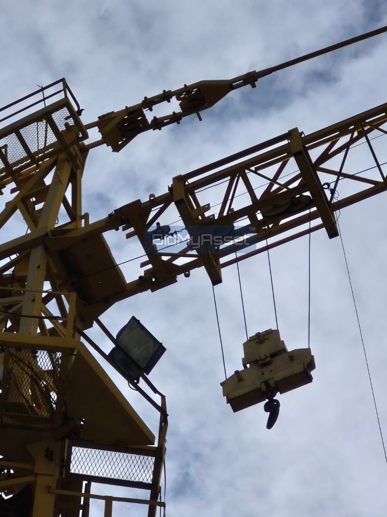 ขาย Tower Crane Potain ขาย Tower Crane Potain