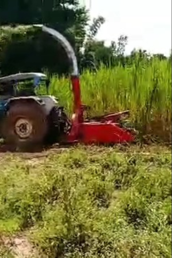 เครื่องสับย่อยหญ้าเนเปียร์เเละข้าวโพด เครื่องสับย่อยหญ้าเนเปียร์เเละข้าวโพด