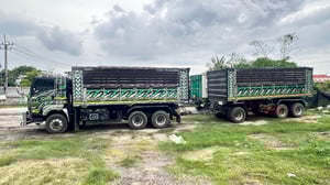 FXZ360 ดั้ม แม่+ลูก โทนดำเขียว ปี 55 อู่โชคชัย เนื้อๆ 28 ตัน 