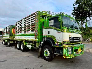 ISUZU DECA 360ปี 61  ได้เนื้อ 31ตัน  