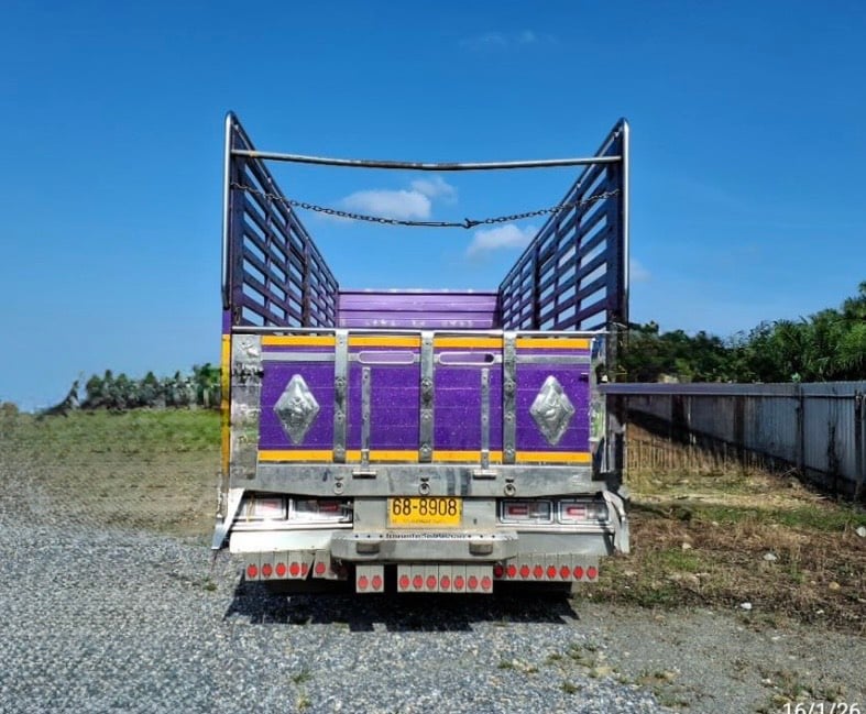 6ล้อ NEW FRR 210 กะบะปีเนียมพื้นสเเตนเหลด ยาว 6.50 เมตร ปี66