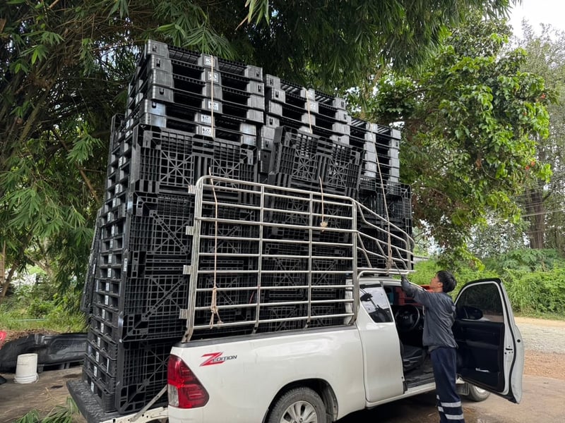 Pallet plastic พาเลทพลาสติกมือสอง สภาพดีมาก
