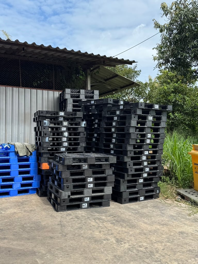 Pallet plastic พาเลทพลาสติกมือสอง สภาพดีมาก Pallet plastic พาเลทพลาสติกมือสอง สภาพดีมาก