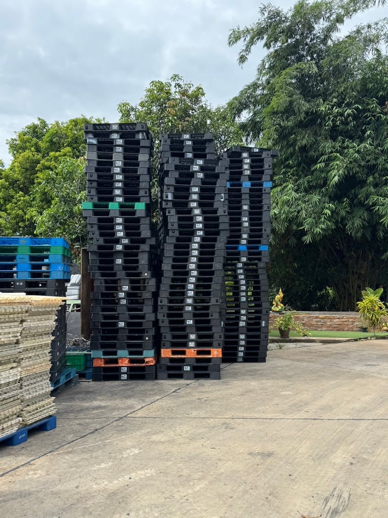 Pallet plastic พาเลทพลาสติกมือสอง สภาพดีมาก Pallet plastic พาเลทพลาสติกมือสอง สภาพดีมาก